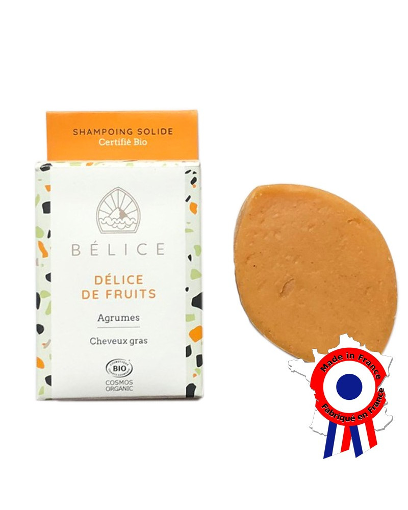Shampoing Solide BIO aux fruits